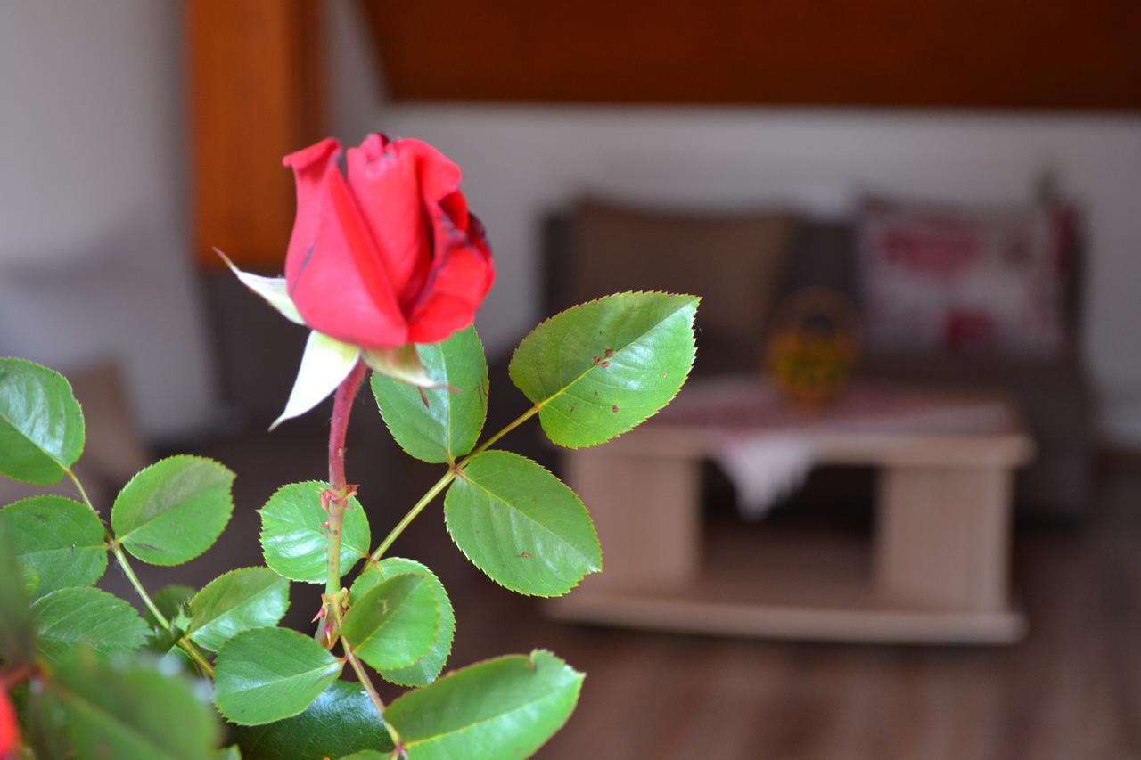 Velicka Izba Apartment Poprad Luaran gambar